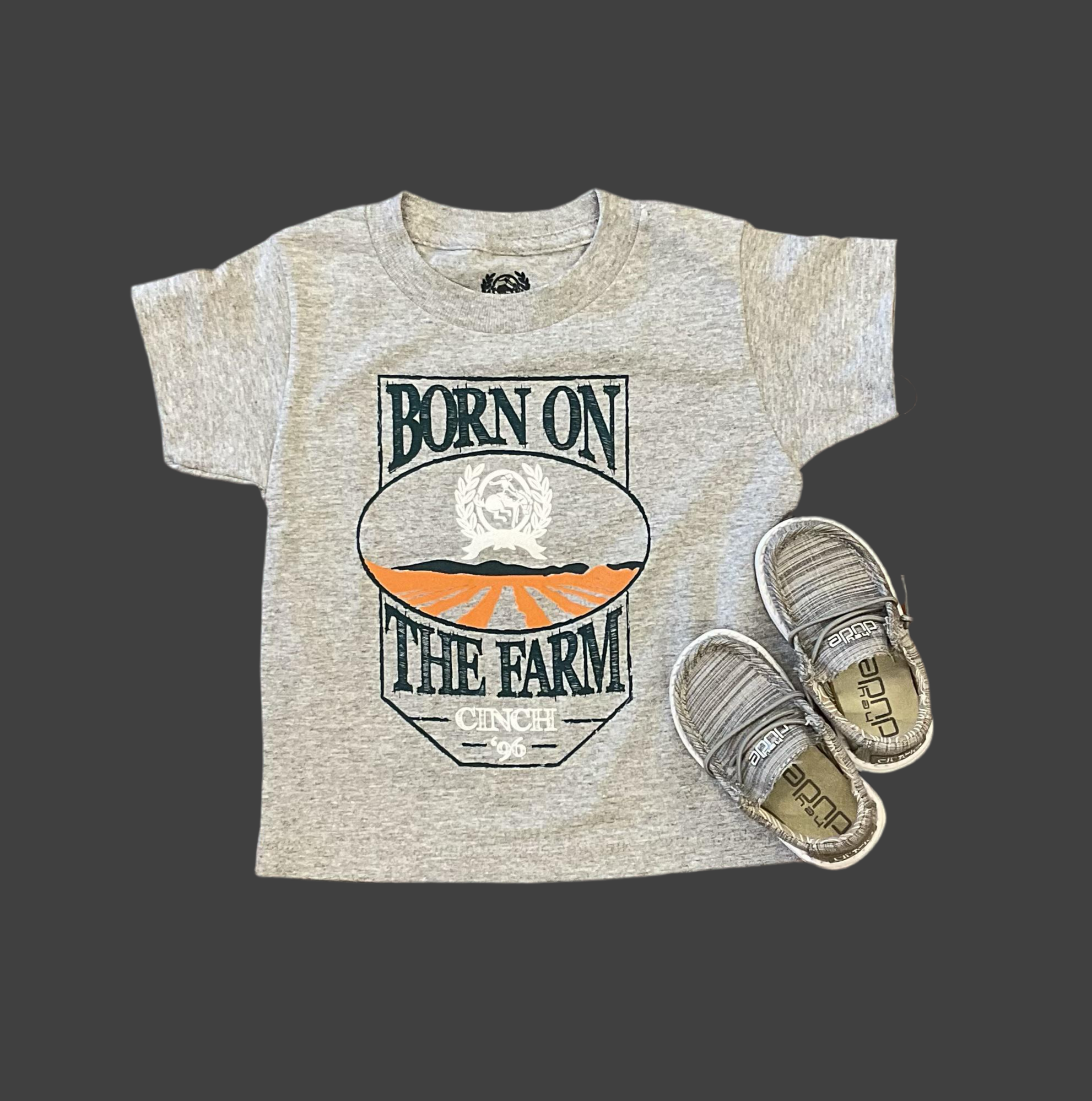 Infant tee shirt gray cinch MTT7672045