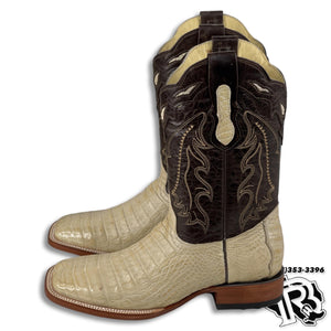 CAIMAN BELLY ORIGINAL | MEN WESTERN BOOTS SQUARE TOE ORIX