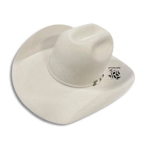 100X SILVER BELLY | AMERICAN HAT FELT COWBOY HAT